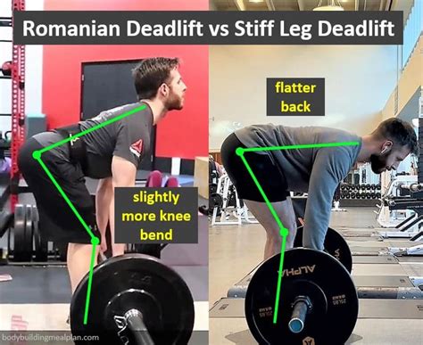 stiff legged deadlift vs romanian deadlift